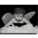 Baby8