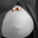 Babybauch7
