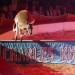 Circus017