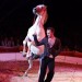 Circus018