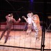 Circus023