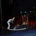 Circus032