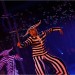 Circus036