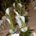 Hochzeit50