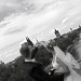 Hochzeit52